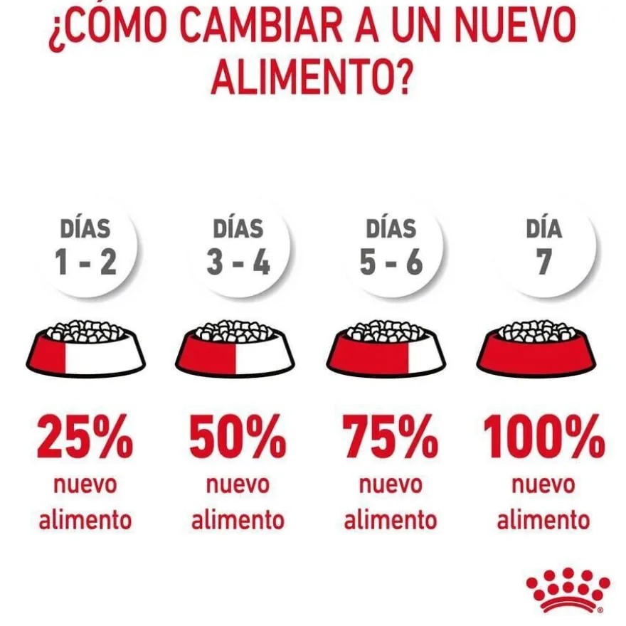 Royal Canin Adult Light Weight Care ração para gatos