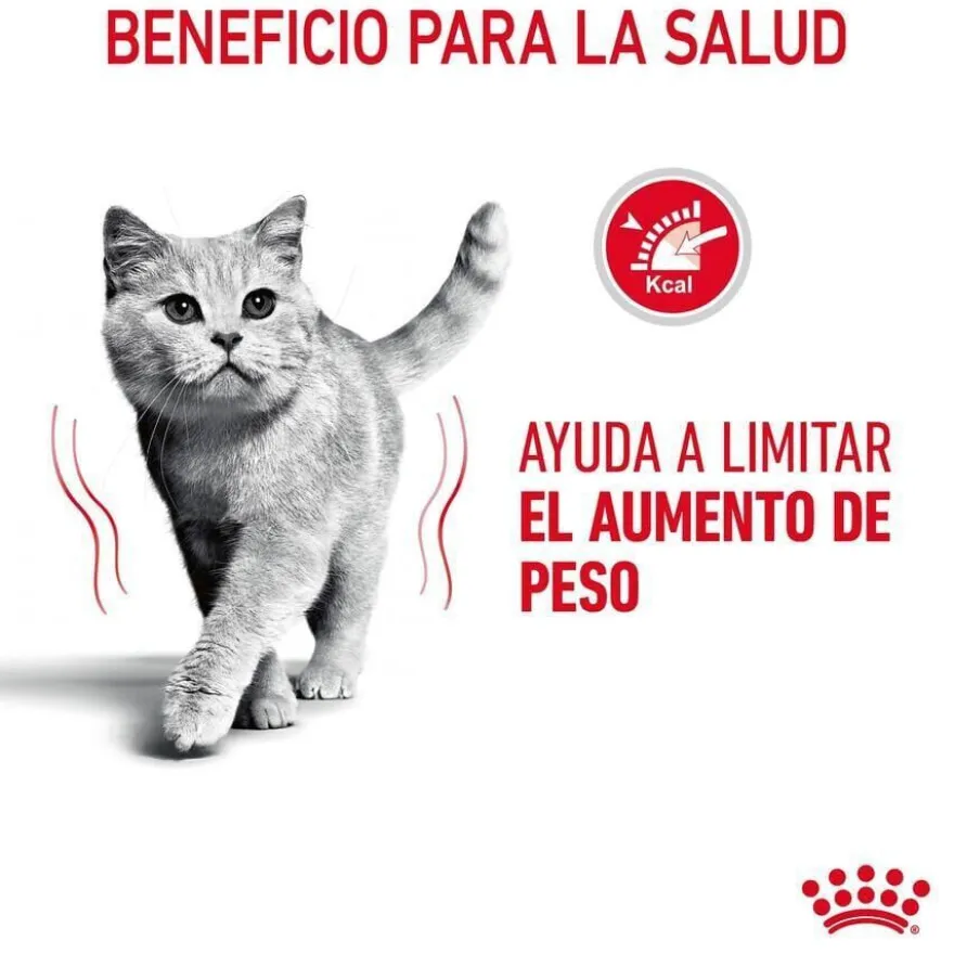 Royal Canin Adult Light Weight Care ração para gatos