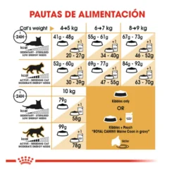 Royal Canin Adult Maine Coon ração para gatos