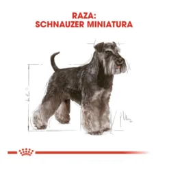 Royal Canin Adult Miniature Schnauzer Ração para cães