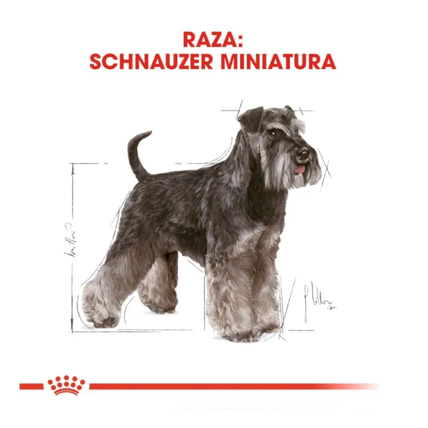 Royal Canin Adult Miniature Schnauzer Ração para cães