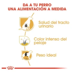 Royal Canin Adult Miniature Schnauzer Ração para cães