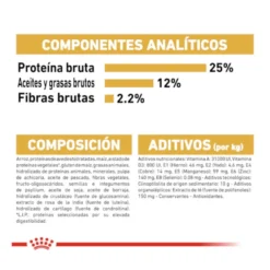 Royal Canin Adult Miniature Schnauzer Ração para cães