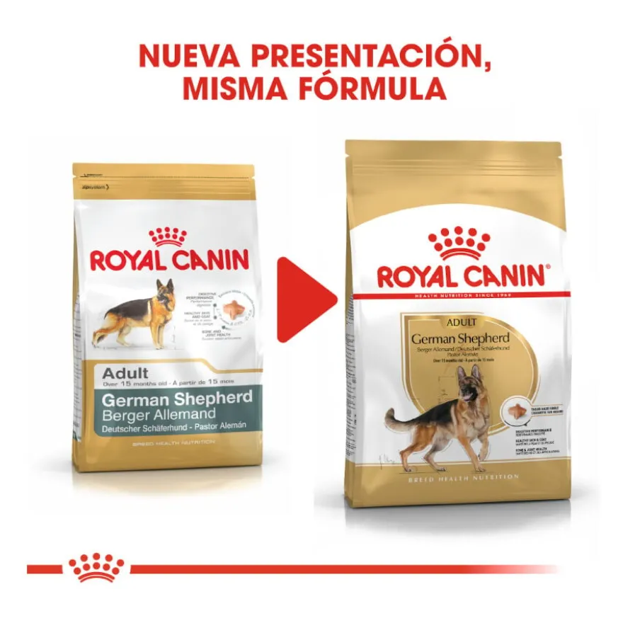 Royal Canin Adult Pastor Alemão ração para cães