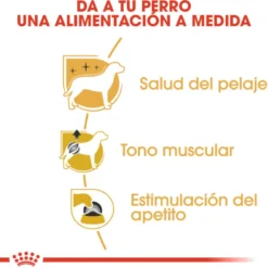 Royal Canin Adult Poodle Patê saqueta para cães
