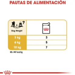 Royal Canin Adult Poodle Patê saqueta para cães