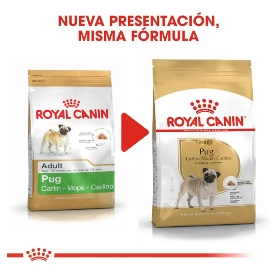 Royal Canin Adult Pug ração para cães