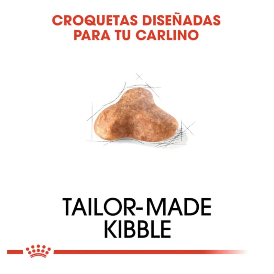 Royal Canin Adult Pug ração para cães