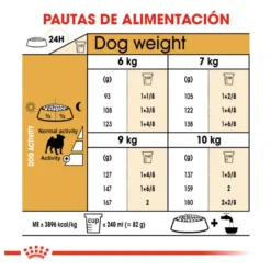 Royal Canin Adult Pug ração para cães