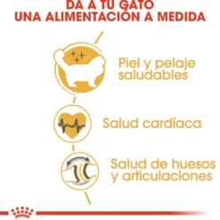 Royal Canin Adult Ragdoll ração para gatos