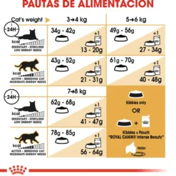 Royal Canin Adult Ragdoll ração para gatos