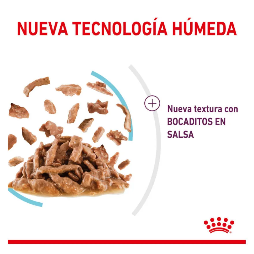 Royal Canin Adult Sensory Feel molho saqueta para gatos