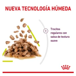 Royal Canin Adult Sensory Smell molho saqueta para gatos
