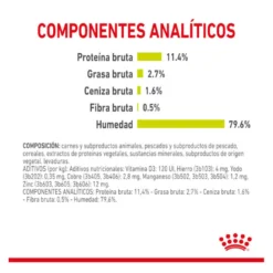 Royal Canin Adult Sensory Smell molho saqueta para gatos