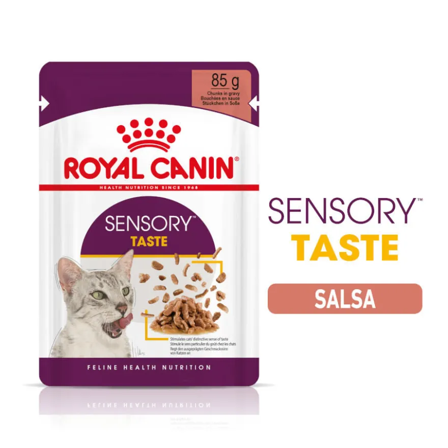 Royal Canin Adult Sensory Taste molho saqueta para gatos