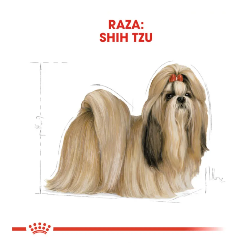 Royal Canin Adult Shih Tzu ração para cães