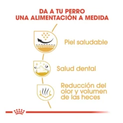 Royal Canin Adult Shih Tzu ração para cães