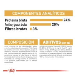 Royal Canin Adult Shih Tzu ração para cães