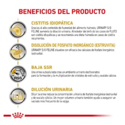 Royal Canin Adult Veterinary Comida húmida em saqueta para gatos