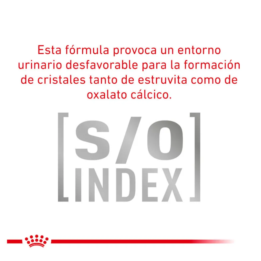 Royal Canin Adult Veterinary Comida húmida em saqueta para gatos