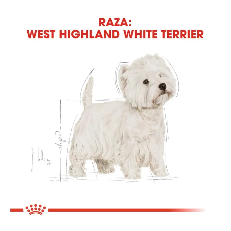 Royal Canin Adult White Terrier West Highland ração para cães