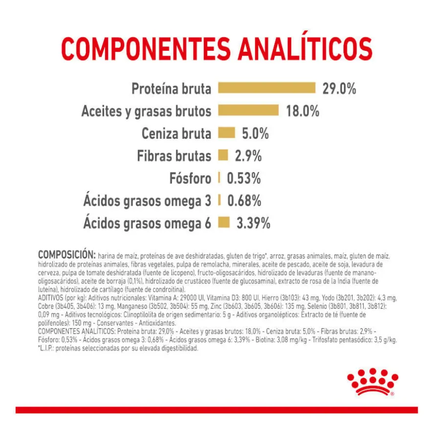 Royal Canin Adult 8+ Yorkshire ração para cães