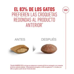 Royal Canin Ageing 11+ ração para gatos sénior