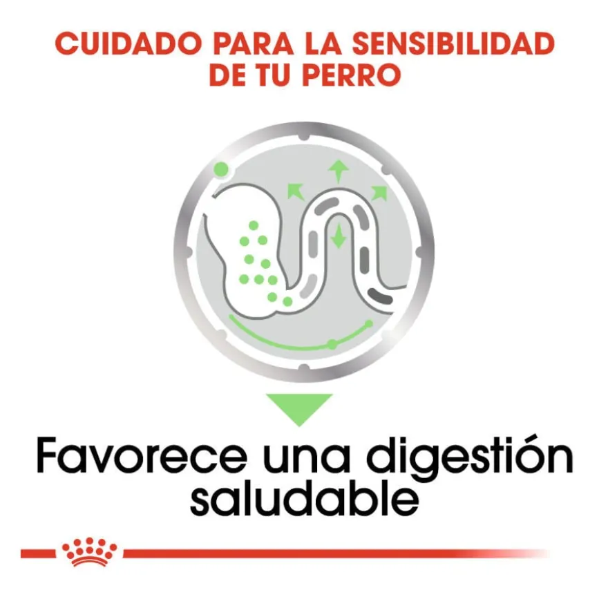 Royal Canin Digestive Care Patê em saquetas para cães