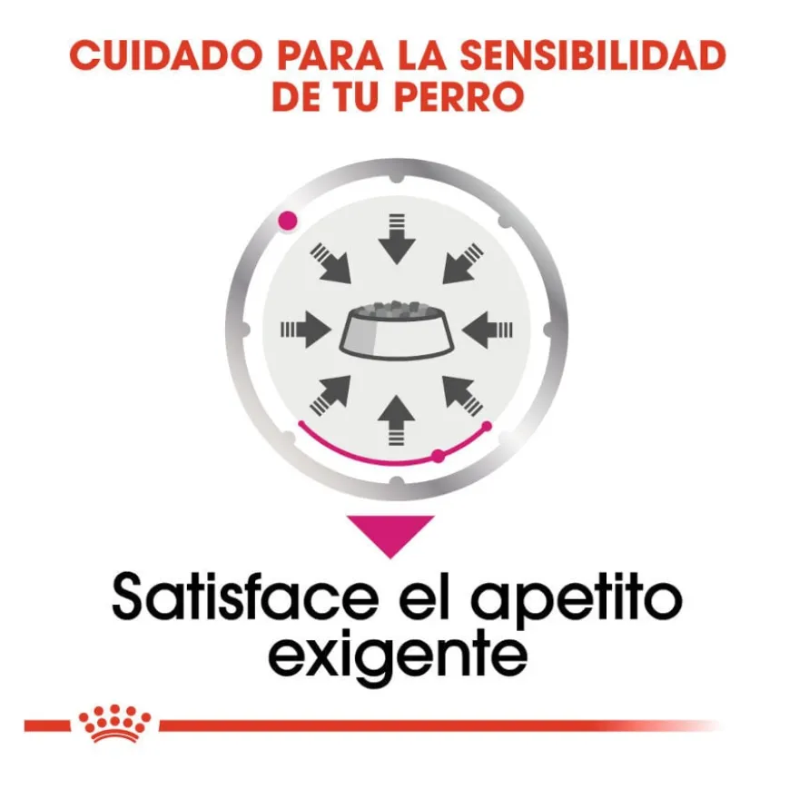 Royal Canin Exigent Comida húmida em saqueta para cães