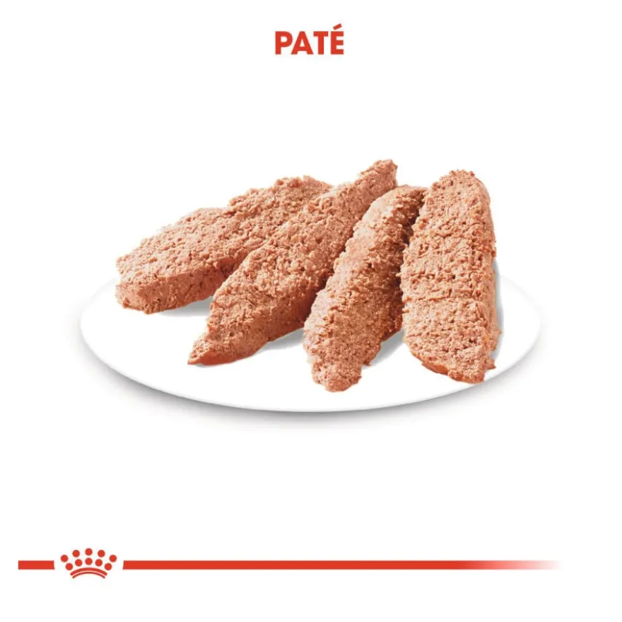Royal Canin Exigent Comida húmida em saqueta para cães