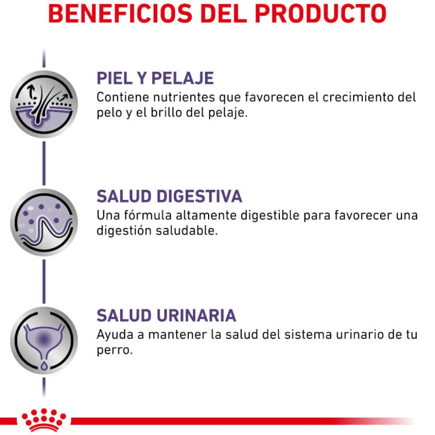 Royal Canin Expert Adult Saqueta em Molho para cães