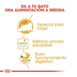 Royal Canin Feline Adult Persa