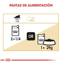 Royal Canin Feline Adult Persa