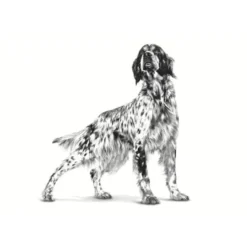 Royal Canin Gastrointestinal Low Fat lata para cães