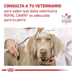 Royal Canin Gastrointestinal Low Fat lata para cães
