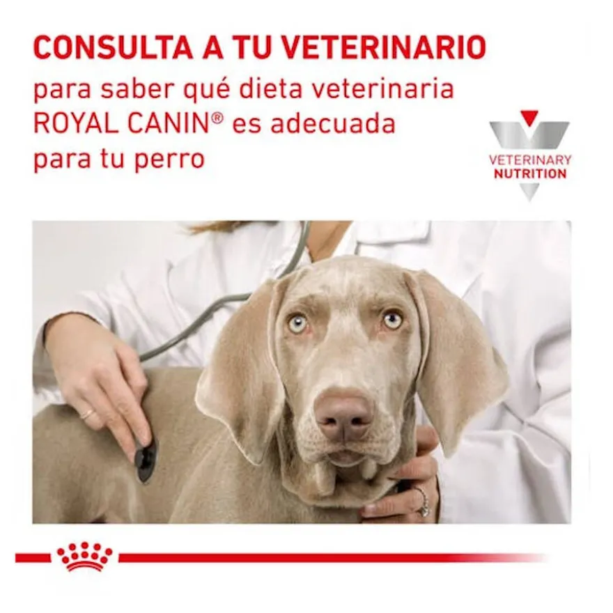 Royal Canin Gastrointestinal Low Fat lata para cães