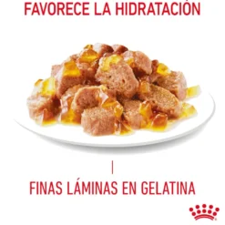 Royal Canin Hairball Care Saquetas em Gelatina para gatos