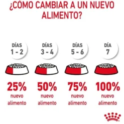 Royal Canin Hair&Skin ração para gatos