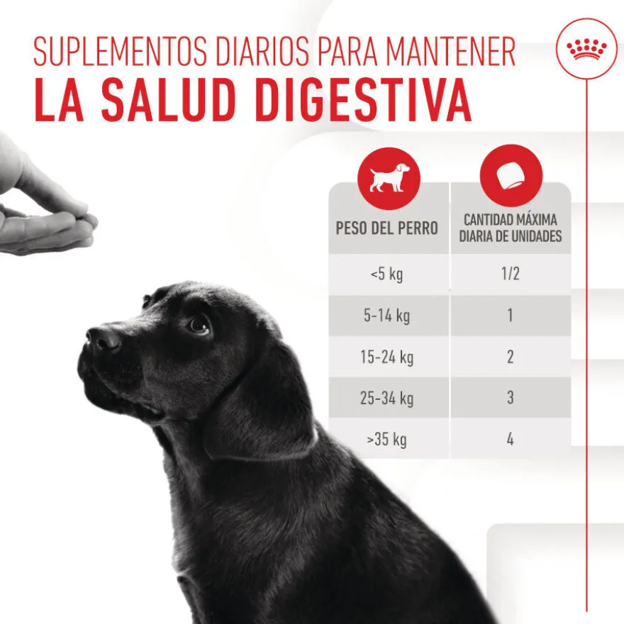 Royal Canin Immunity & Digestion Chews Puppy Suplemento Nutricional para Cães