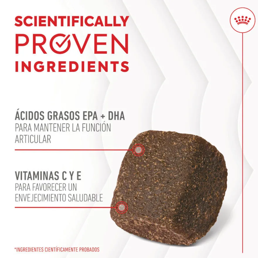 Royal Canin Joint & Ageing Chews Suplemento Nutricional para cães sénior