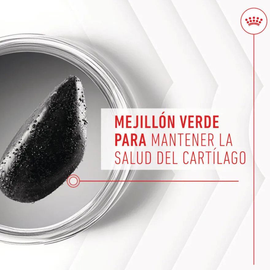 Royal Canin Joint & Ageing Chews Suplemento Nutricional para cães sénior