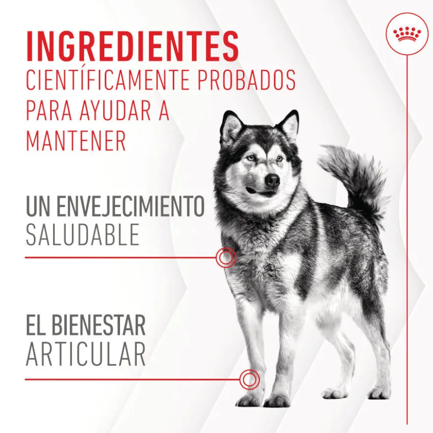 Royal Canin Joint & Ageing Chews Suplemento Nutricional para cães sénior