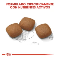 Royal Canin Joint Care Maxi ração para cães