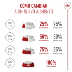 Royal Canin Junior Giant ração para cães