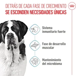 Royal Canin Junior Giant ração para cães