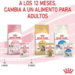 Royal Canin Kitten patê em saquetas para gatos