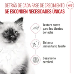 Royal Canin Kitten patê em saquetas para gatos