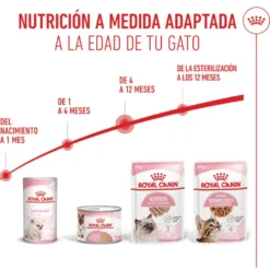Royal Canin Kitten patê em saquetas para gatos