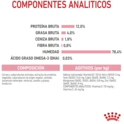 Royal Canin Kitten patê em saquetas para gatos