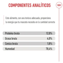 Royal Canin Kitten patê em saquetas para gatos